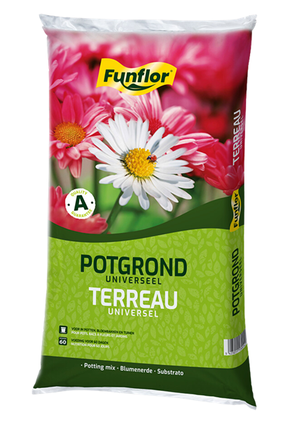 Potgrond